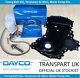 For Ford 2.0 Ecoblue Timing Belt Kit Cover Filter Bolt Genuine Dayco Belt Kit