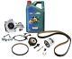 Genuine Ford 1.0 Ecoboost Timing Belt Kit Inc Oil, Drive Belt And Water Pump Kit