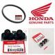 Genuine Honda New Vision 2021 2022 2023 2024 Drive Belt Kit+rollers+sliders