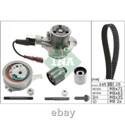 Genuine INA 530065030 Water Pump and Timing Belt Kit for VW Audi Seat Skoda