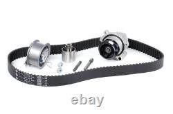 INA 530020133 Water Pump and Timing Belt Kit Set Fits Audi Ford Seat Skoda VW