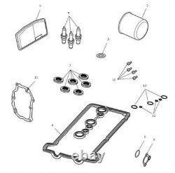 Triumph Street Triple R / RS / S Genuine OE Engine Service Kit New T3990167