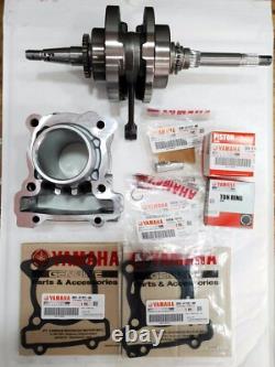 Ensemble de cylindre, piston et vilebrequin Yamaha Nmax 125 d'origine et tout neuf 125cc