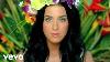 Katy Perry Roar Official