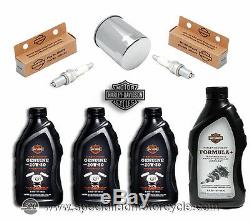 Kit Tagliando Véritable Harley Davidson Sportster 883 E 1200 Olio Filtro Candele
