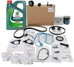 Kit de Courroie Humide Citroën Authentique & Huile C1 C3 C4 DS3 DS4 Etc Moteur 1.2L Non Turbo