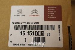 Kit de câblage 1615100180 Nouvel accessoire Citroën d'origine